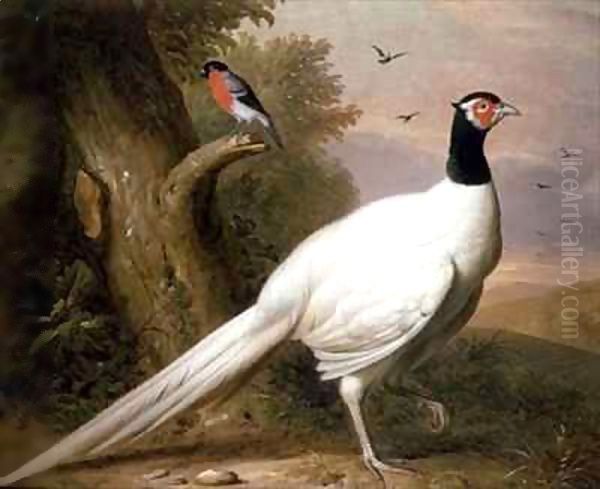 A White Pheasant in a Landscape - view 1