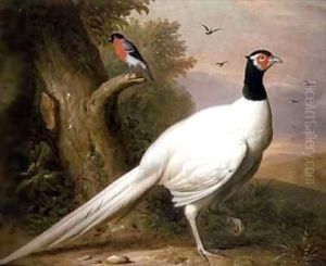 A White Pheasant in a Landscape