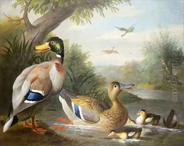 Ducks in a River Landscape - view 1