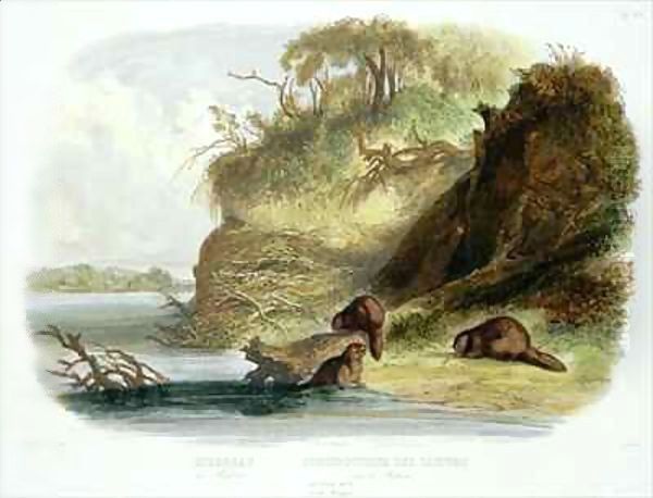 Beaver Hut on the Missouri - view 1