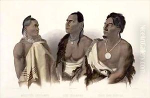 A Missouri Indian, an Oto Indian and the Chief of the Puncas by Karl Bodmer