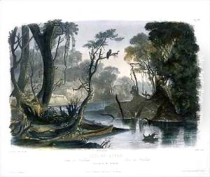 Cutoff River, Branch of the Wabash