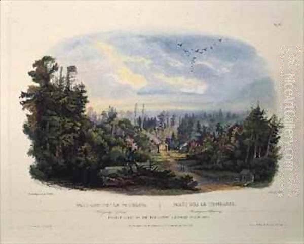 Forest Scene on the Tobihanna, Alleghany Mountains - view 1
