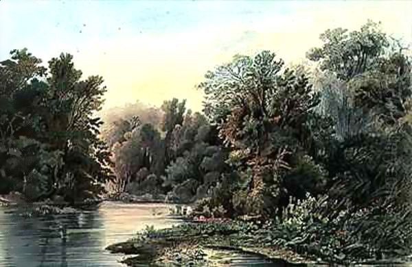 Forest Scene on the Lehigh, Pennsylvania - view 1