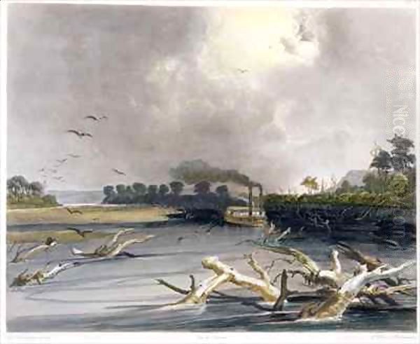 Snags (sunken trees) on the Missouri - view 1