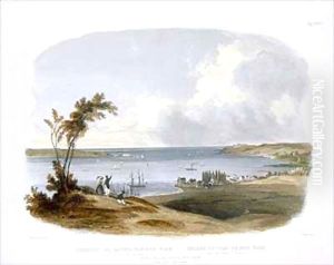 Entry to the Bay of New York taken from Staten Island by Karl Bodmer