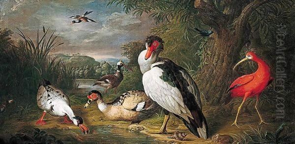 A Muscovy Duck, A Red Ibis And Other Fowl In A Landscape - view 1