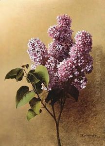 Blooming Lilac Stem by Gavril Kondratenko