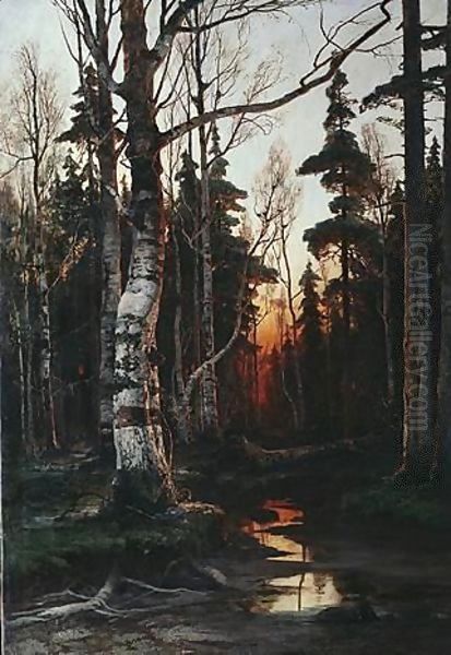 Birch Forest At Sunset - view 1