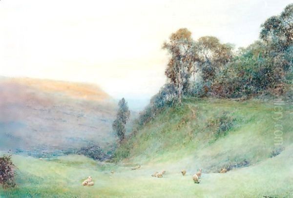 Weston Glen, Near Sidmouth - view 1