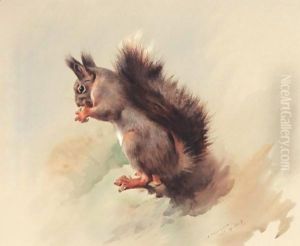 The Red Squirrel by Archibald Thorburn