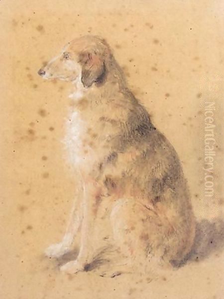 A Dog - view 1