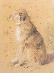 A Dog