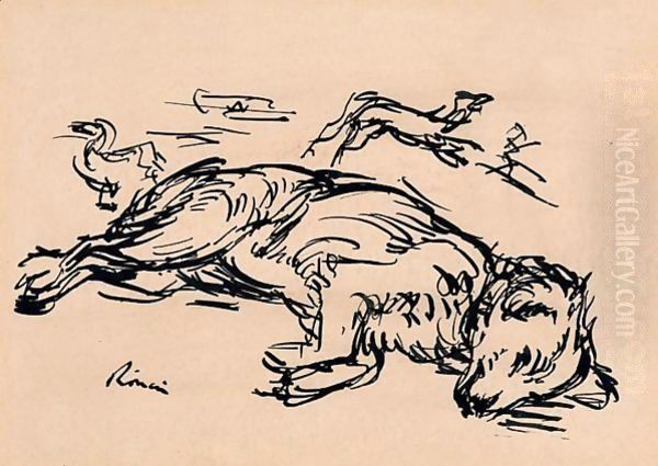 Sleeping Dog - view 1