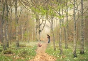 Path Through The Anemones