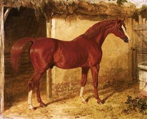 Langar, A Chestnut Racehorse Outside A Stable