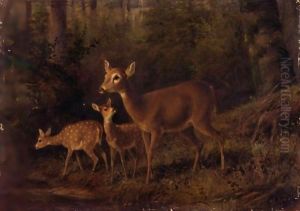Doe And Two Fawns By A Stream by Arthur Fitzwilliam Tait