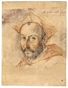 Head Of A Cardinal