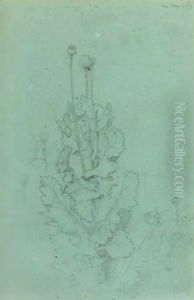 Plant Study by Sir Edward John Poynter