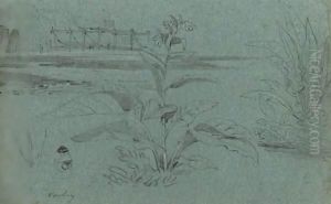 Study Of A Plant