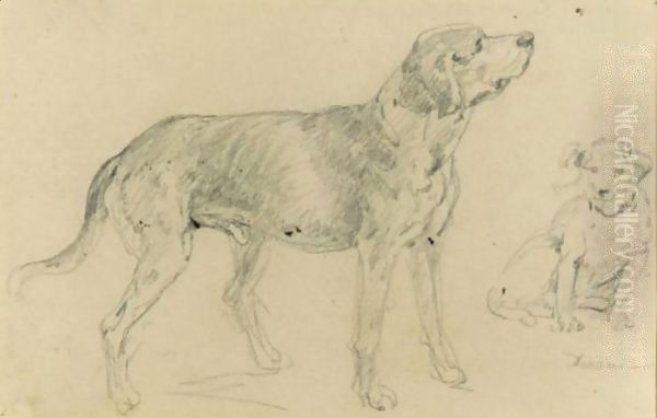 A Hunting Dog - view 1