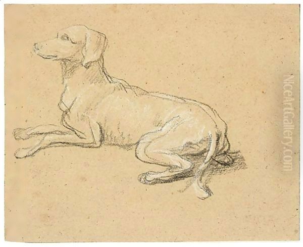 Study of a dog - view 1
