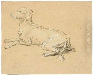 Study of a dog Study of a dog