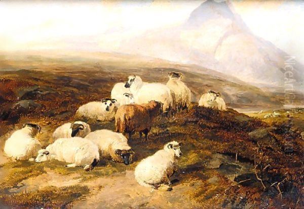 Highland Scene With Sheep And A Highland Cow - view 1