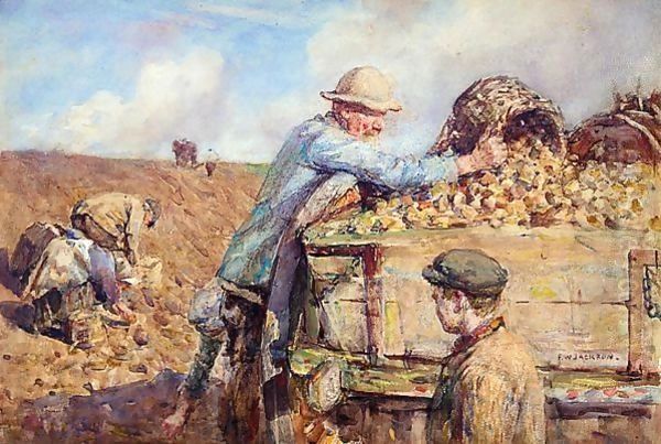 Potato Gathering - view 1