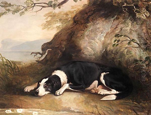 A Dog Resting In A Landscape - view 1