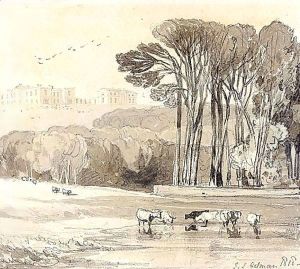 In The Park Of Sir Robert Reade, Barsham, Suffolk