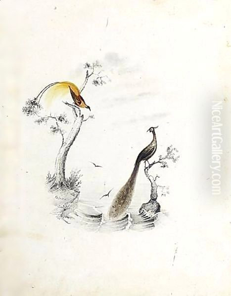 Birds Of Paradise - view 1