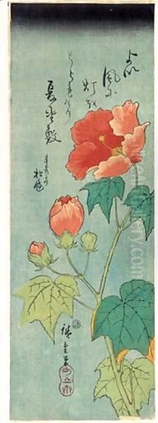Fuyo. Hibiscus En Fleurs - view 1