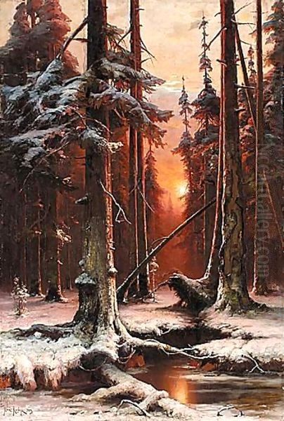Forest At Sunset - view 1