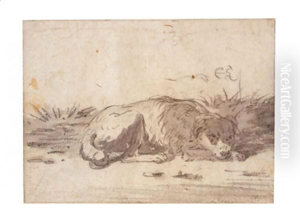 Study Of A Sleeping Dog - view 1