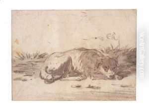 Study Of A Sleeping Dog by Cornelis Saftleven