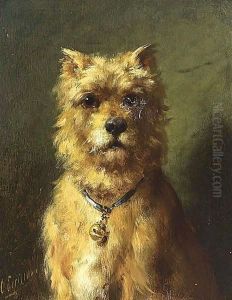 A Watchful Dog