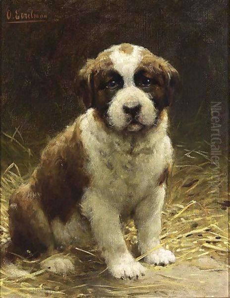 A Saint-Bernard Puppy - view 1