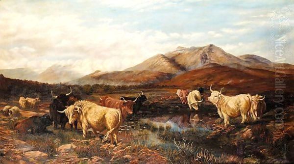 Cattle In Highland Landscape - view 1