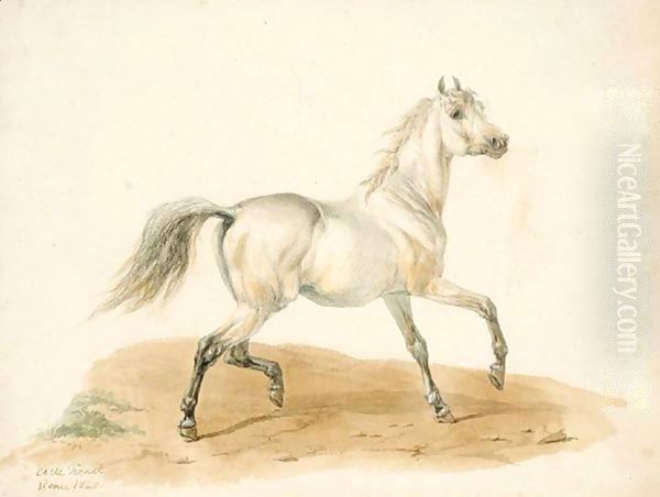 Study Of A Horse - view 1