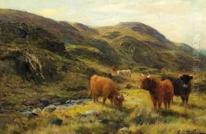 Highland Cattle by Louis Bosworth Hurt