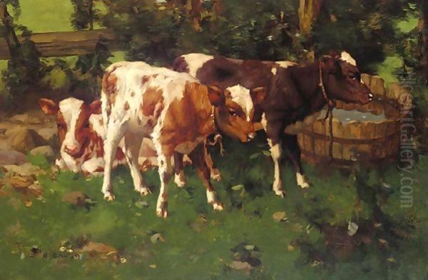 Calves 2 - view 1