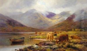 A Glen In Ardgour