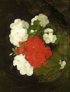 A Still Life Of Geraniums
