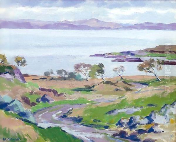Auchnacraig, Mull - view 1