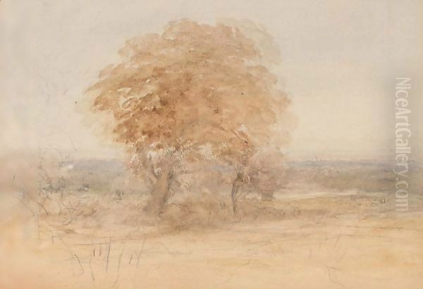 Tree In Landscape - view 1