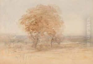 Tree In Landscape by David Cox
