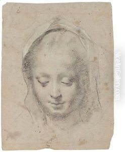 Head Of The Madonna Looking Down by Federico Fiori Barocci