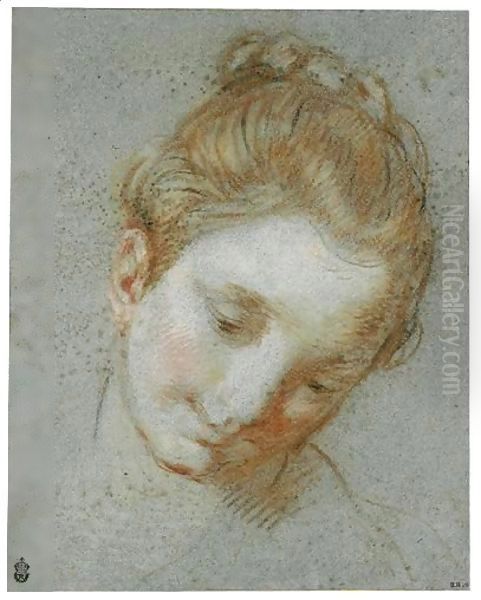 The Head Of A Woman - view 1