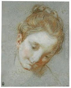 The Head Of A Woman The Head Of A Woman